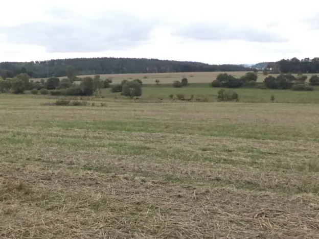 Dražba pole, Tachov, 842 m2