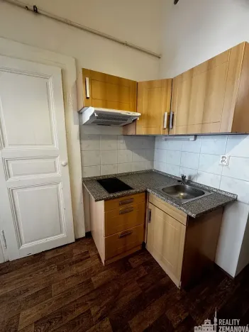 Pronájem bytu 1+kk, Praha - Vinohrady, Řipská, 46 m2