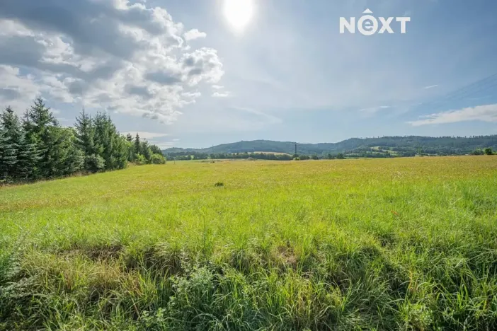 Prodej pozemku pro bydlení, Petrov nad Desnou, 977 m2
