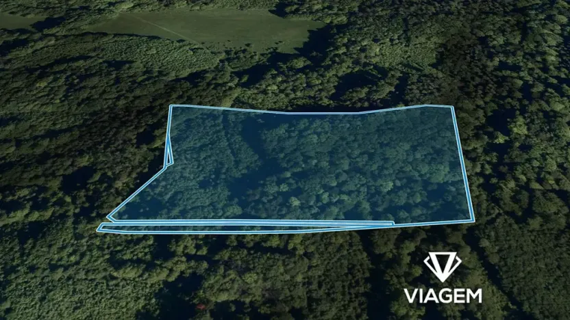 Prodej podílu lesa, Životice u Nového Jičína, 5078 m2