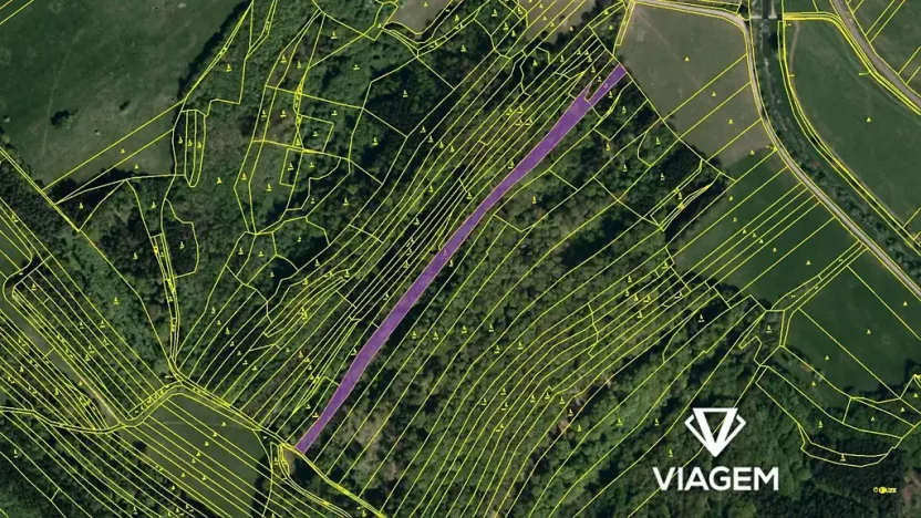 Prodej podílu lesa, Bohuslavice nad Vláří, 3722 m2