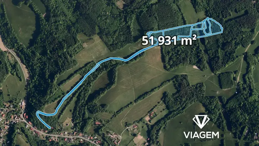 Prodej podílu lesa, Metylovice, 11649 m2