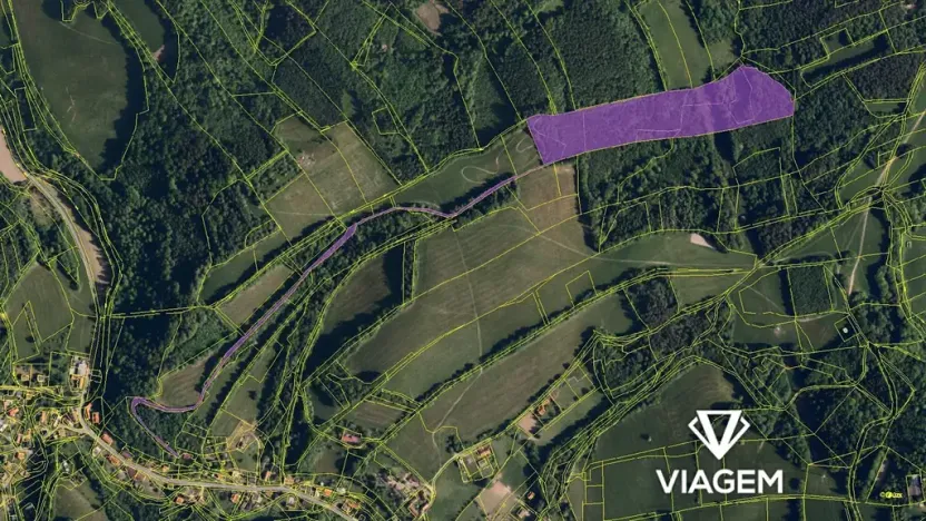 Prodej podílu lesa, Metylovice, 11649 m2