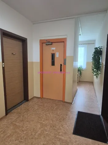 Pronájem bytu 3+1, Česká Lípa, Střelnice, 70 m2