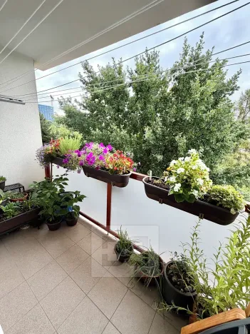Prodej bytu 4+1, Praha - Kamýk, Zárubova, 85 m2