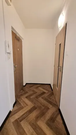 Pronájem bytu 1+1, Bílina, Aléská, 36 m2