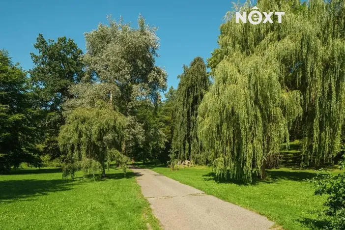 Pronájem bytu 1+kk, Česká Lípa, Roháče z Dubé, 28 m2