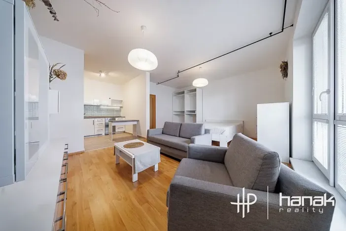 Pronájem bytu 1+kk, Olomouc, Mošnerova, 42 m2