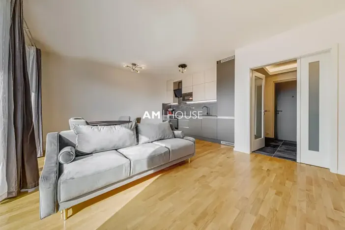 Pronájem bytu 2+kk, Praha - Vinohrady, Perucká, 60 m2