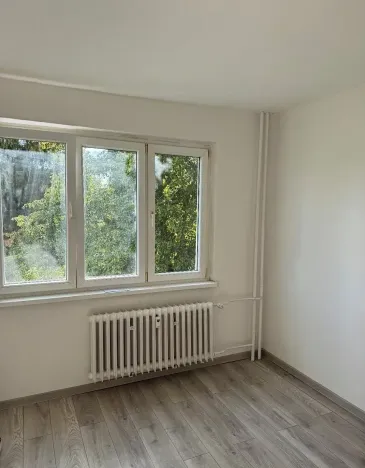 Pronájem bytu 2+1, Chodov, Revoluční, 60 m2