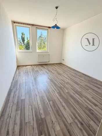 Pronájem bytu 2+kk, Planá nad Lužnicí, Průmyslová, 62 m2