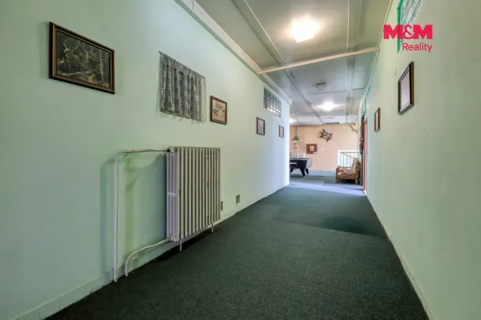 Prodej obchodního prostoru, Černošín, 1100 m2
