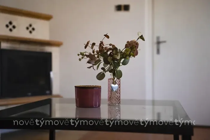 Prodej rodinného domu, Přelouč, Pražská, 250 m2