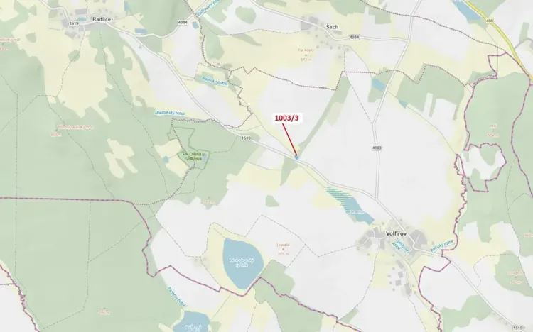 Dražba lesa, Volfířov, 1093 m2