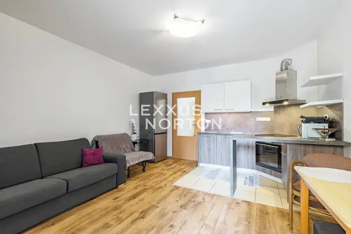 Prodej bytu 1+kk, Praha - Hloubětín, Nepelova, 29 m2