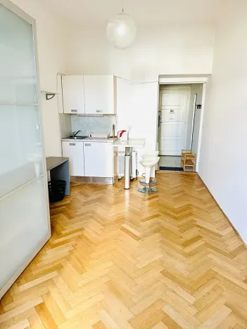 Pronájem bytu 1+kk, Praha - Žižkov, Fibichova, 25 m2