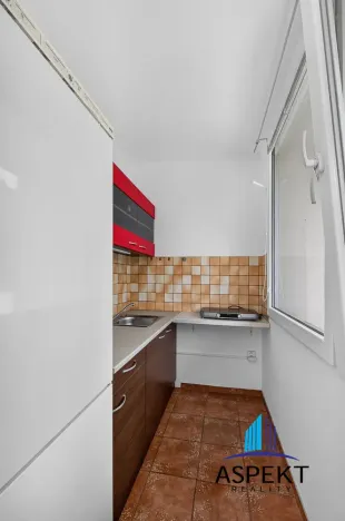 Pronájem bytu 1+kk, Praha - Podolí, Kaplická, 27 m2