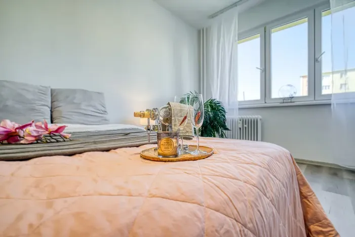 Pronájem bytu 2+1, Most, Hutnická, 51 m2