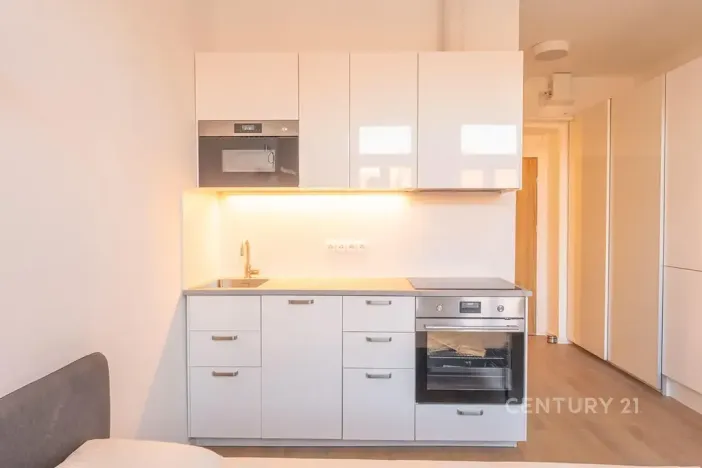 Pronájem bytu 1+kk, Praha - Vinohrady, Perunova, 22 m2