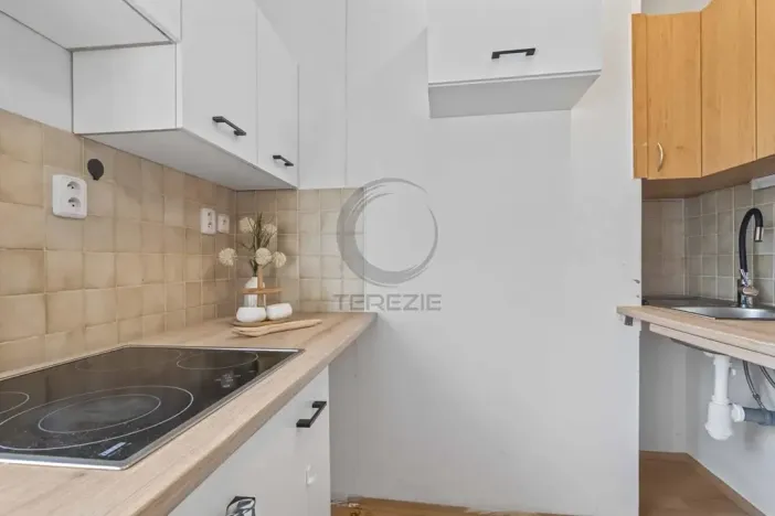 Prodej bytu 1+kk, Praha - Veleslavín, Na okraji, 25 m2