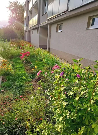 Pronájem bytu 1+kk, Frýdlant, Školní, 20 m2