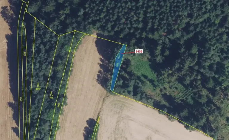 Dražba lesa, Bělá nad Svitavou, 212 m2