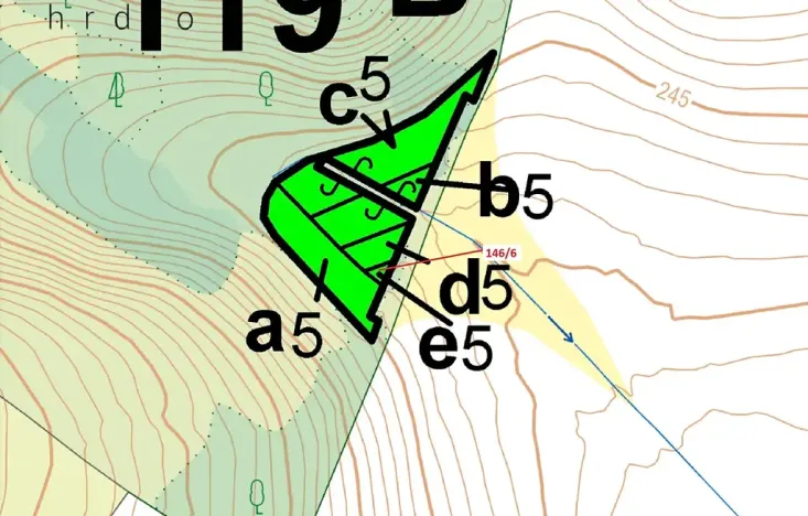 Dražba lesa, Přerov, 58 m2