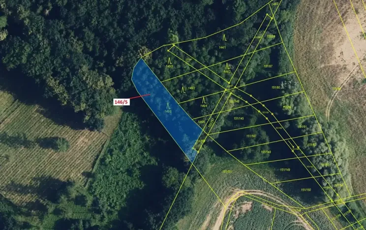 Dražba lesa, Přerov, 1071 m2