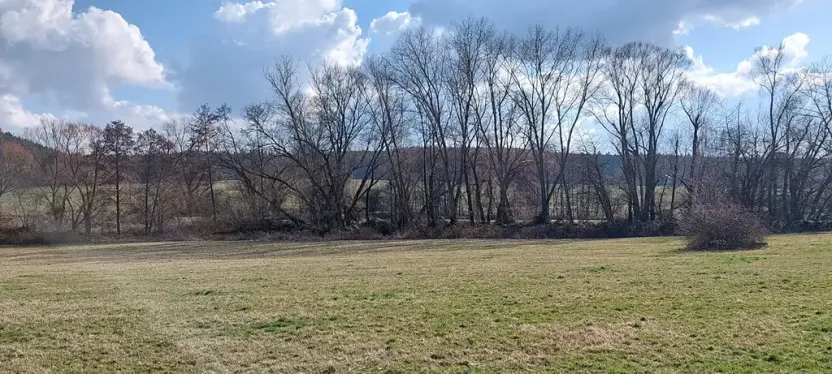 Prodej podílu louky, Podluhy, 1240 m2