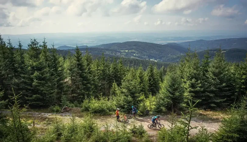 Prodej bytu 1+kk, Loučná pod Klínovcem, 33 m2