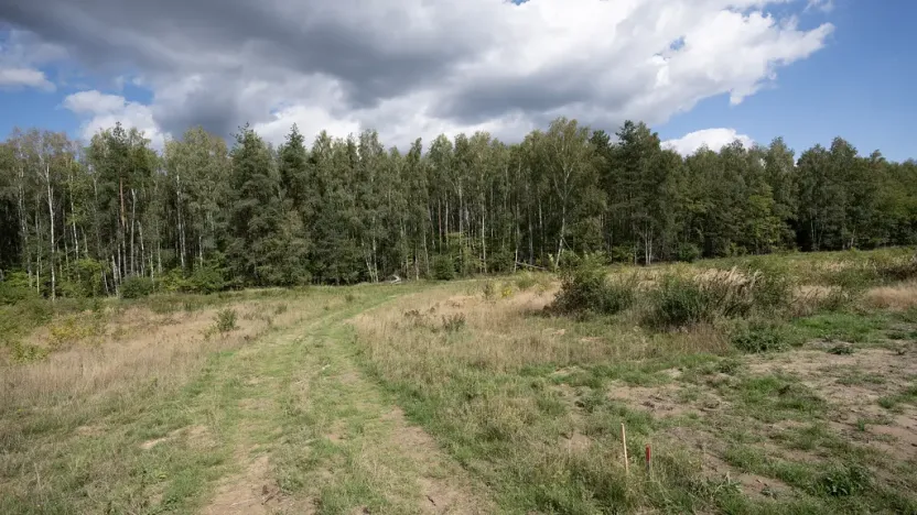Prodej pozemku, Ralsko - Kuřívody, 1255 m2