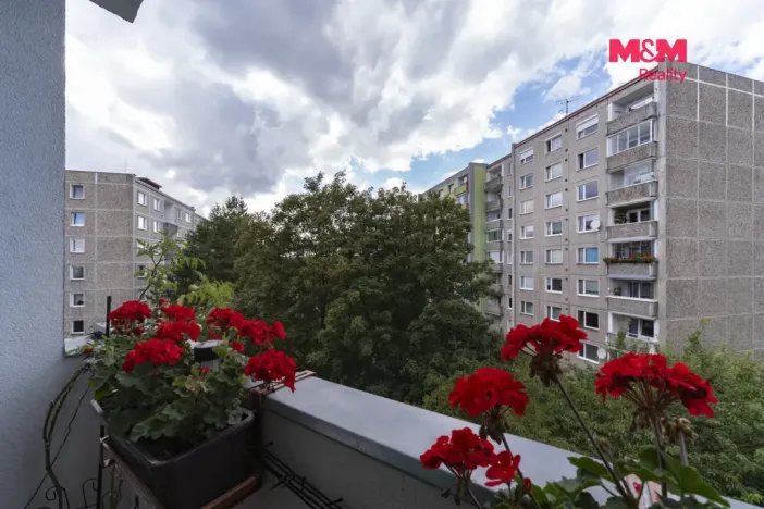 Prodej bytu 3+1, Chodov, Husova, 68 m2