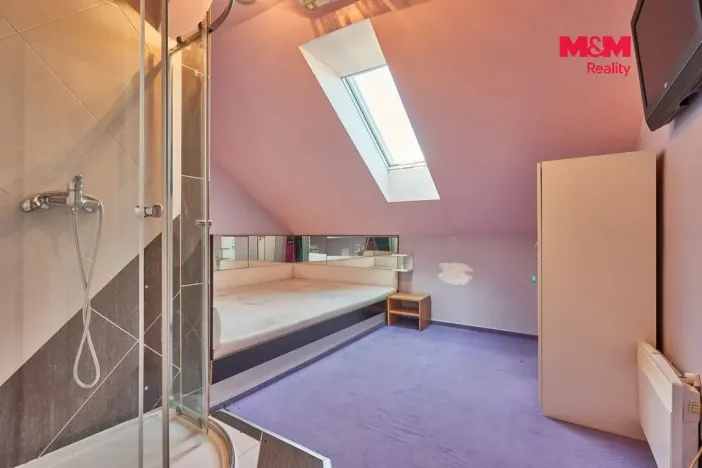 Pronájem obchodního prostoru, Drslavice, 365 m2