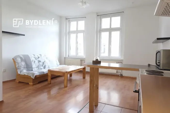 Pronájem bytu 1+1, Teplice, Revoluční, 48 m2