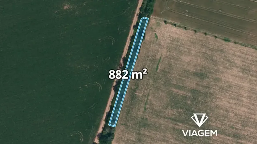 Prodej lesa, Těšetice, 882 m2