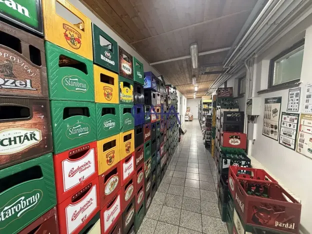 Prodej obchodního prostoru, Jemnice, Tyršova, 481 m2