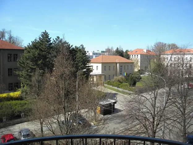 Pronájem bytu 2+kk, Brno, Palackého třída, 75 m2