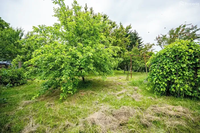 Prodej rodinného domu, Ráječko, Nová, 65 m2
