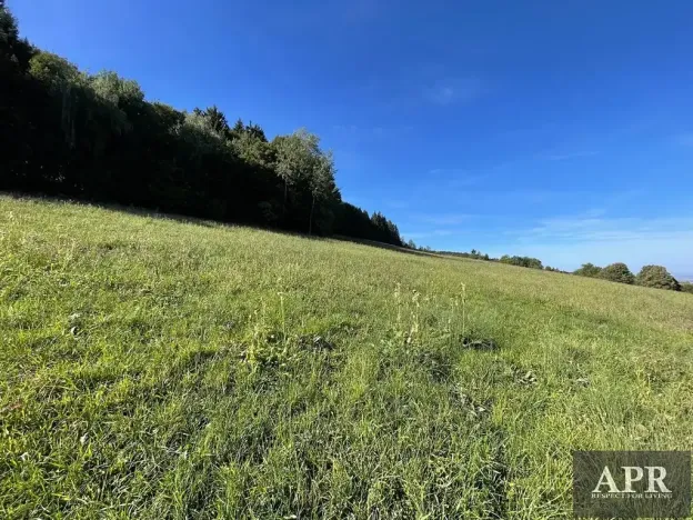 Prodej pozemku pro bydlení, Lopeník, 6165 m2