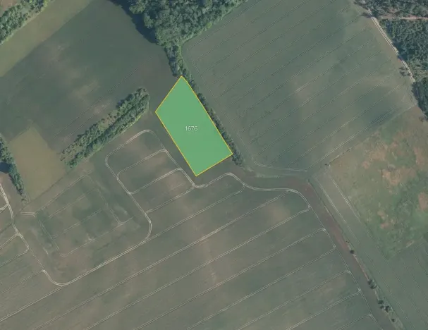 Prodej pole, Dřísy, 8020 m2