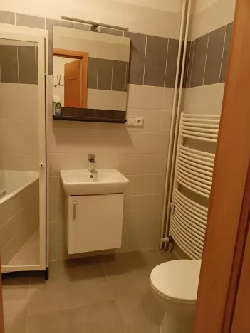 Pronájem bytu 1+kk, Praha - Podolí, Levá, 23 m2