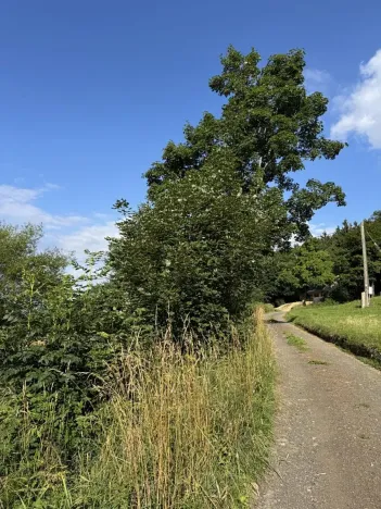 Prodej podílu lesa, Proseč pod Ještědem, 3598 m2
