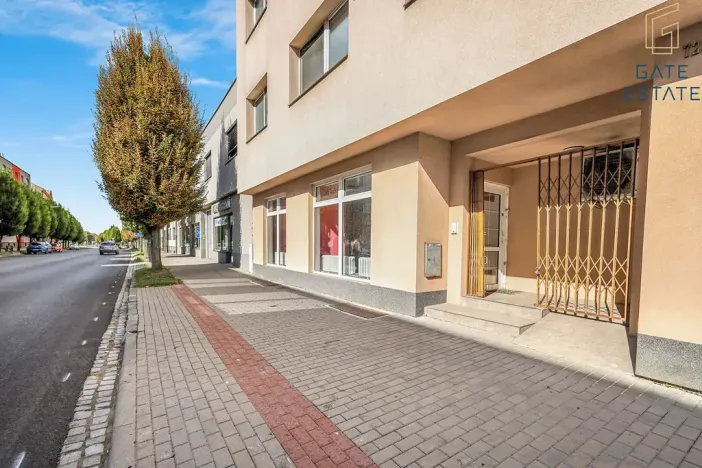 Prodej obchodního prostoru, Holešov, Palackého, 87 m2