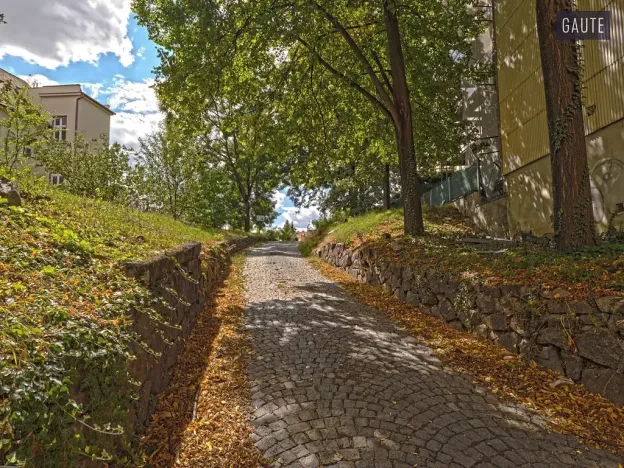 Prodej komerčního pozemku, Brno, Slepá, 2919 m2
