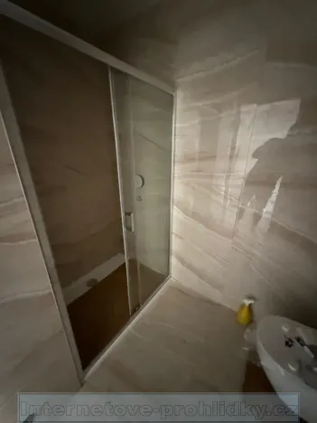 Pronájem bytu 2+kk, Praha - Vinohrady, 75 m2