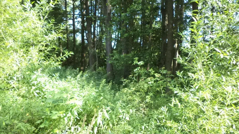Prodej pozemku, Chodský Újezd - Nahý Újezdec, 1046 m2