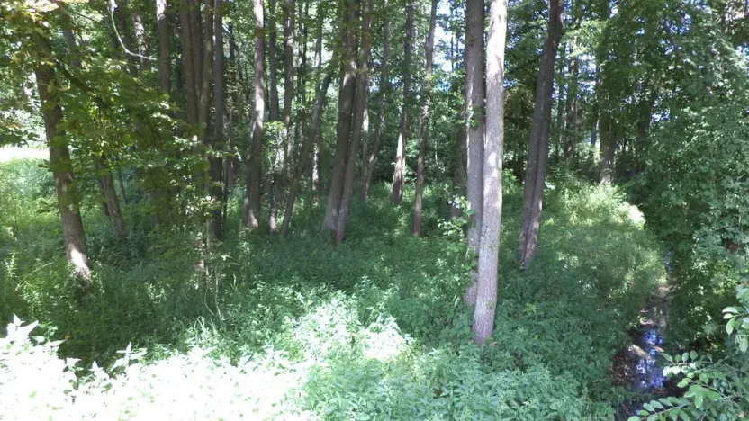 Prodej pozemku, Chodský Újezd - Nahý Újezdec, 1046 m2
