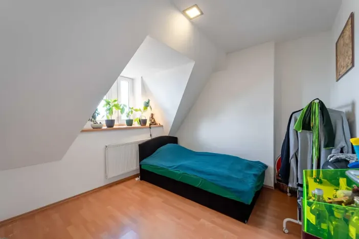 Pronájem bytu 3+kk, Olomouc, Palackého, 70 m2