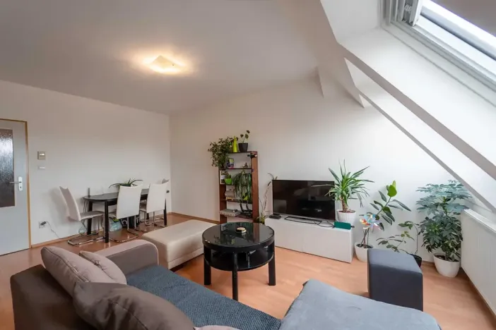 Pronájem bytu 3+kk, Olomouc, Palackého, 70 m2
