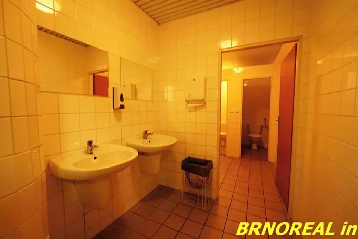 Pronájem kanceláře, Brno, Příkop, 20 m2